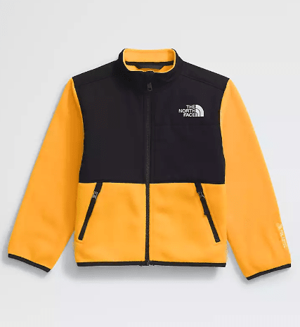 The North Face Toddler Denali Jacket