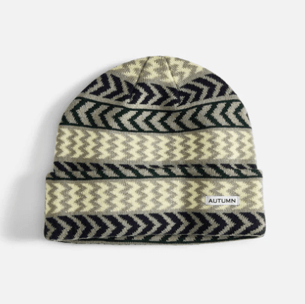 Autumn Chevron Beanie