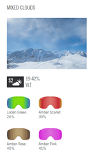 Giro Cruz Goggle White Wordmark with Loden Green Lens